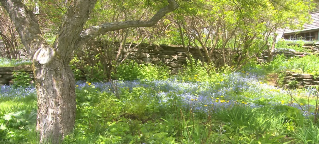 fdcc1581aa484631bc60bc30b04377fc.png image.png